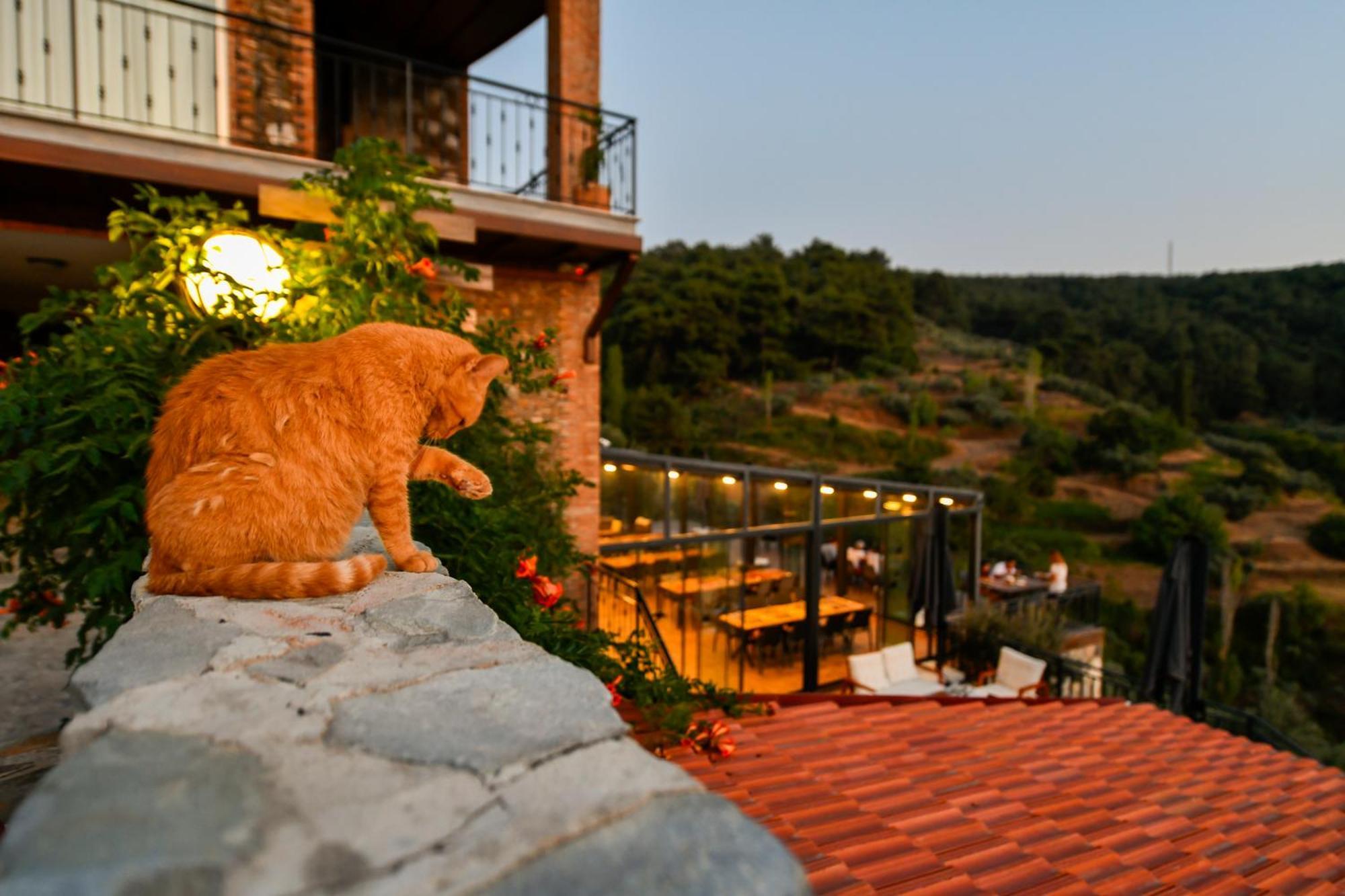 Hotel Ephesus Retreat à İzmir Extérieur photo